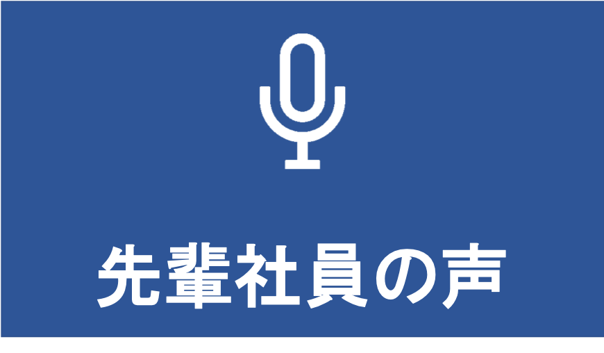 先輩社員の声